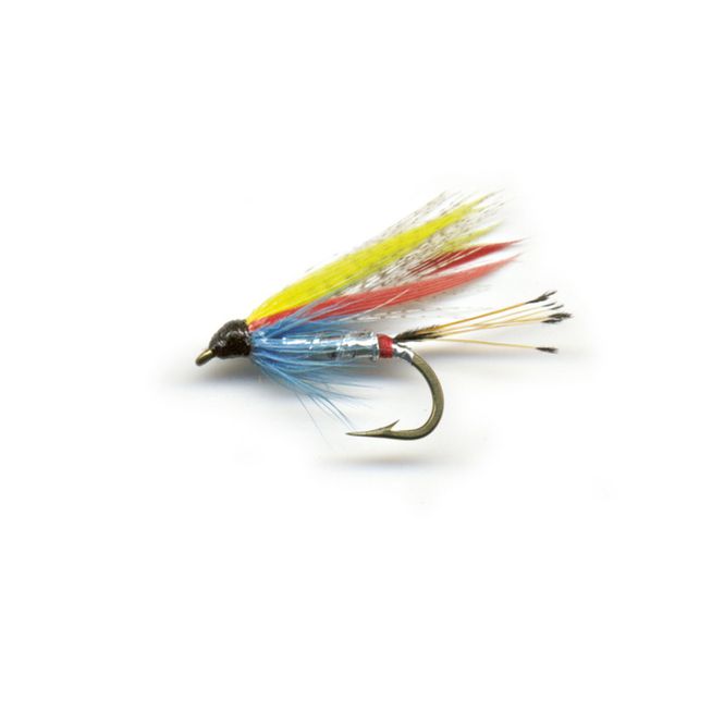 Hovedbilde Våtflue - Doctor Silver SP - 2-pk