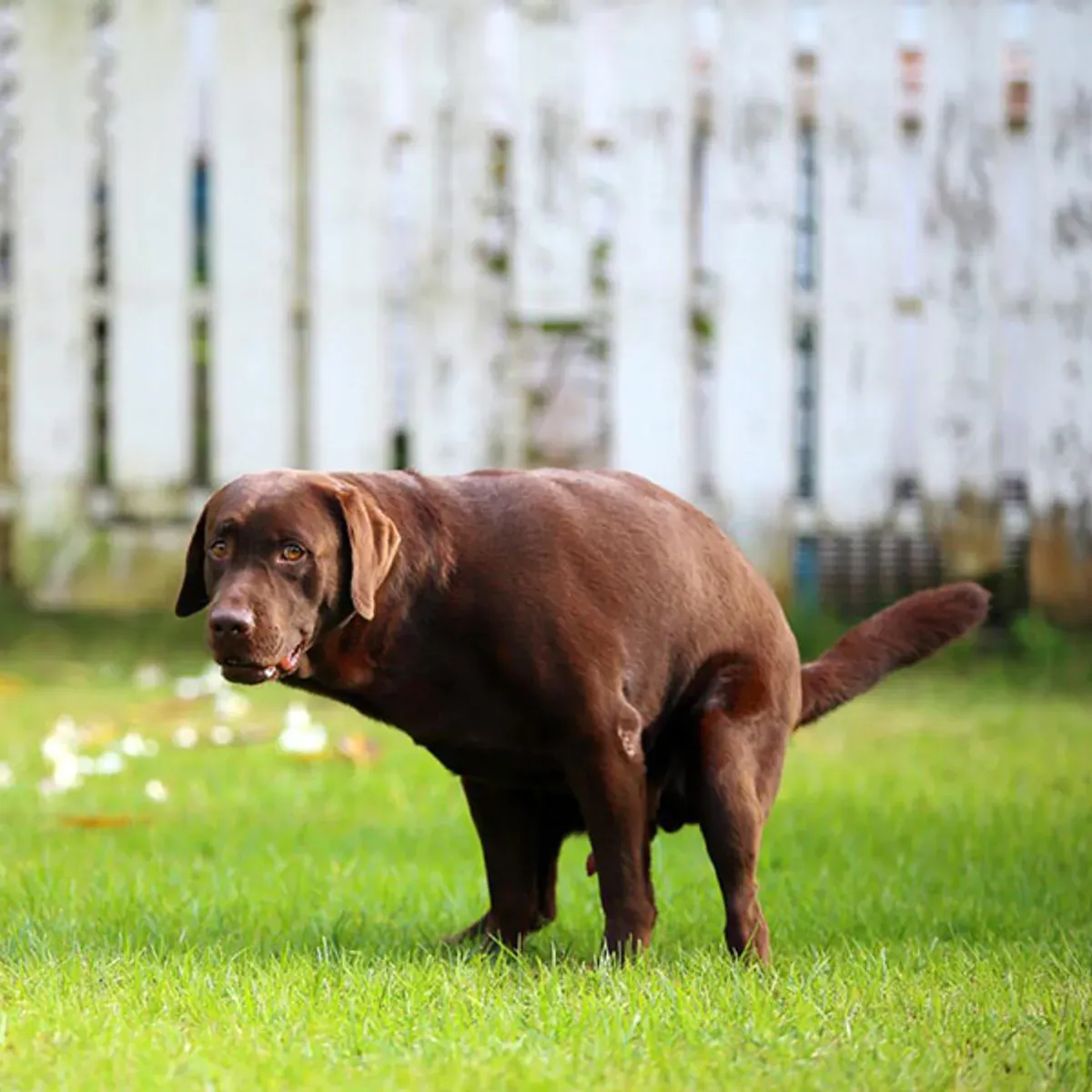 Clean Hands 3 Fingre Hanske  500 stk i Refillpakke 20My
