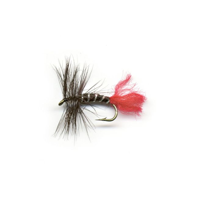 Hovedbilde Tørrflue - Zulu - 2-pk